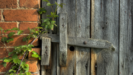 Barn Door