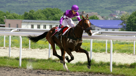 Racing Stables